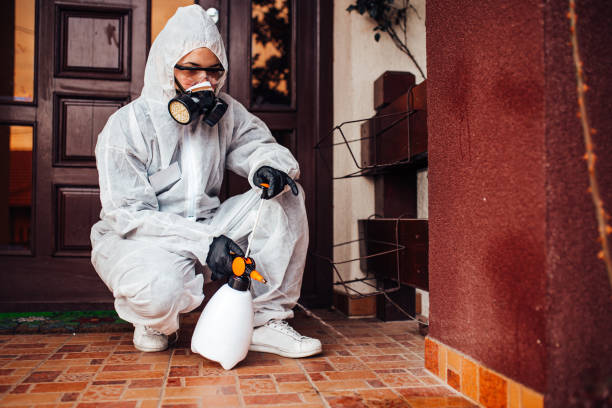 Reliable Ant Control contractor in Crystal Lake, CT by Nex Pest Control