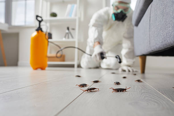 Trusted Rodent Control service in Crystal Lake, CT - Nex Pest Control