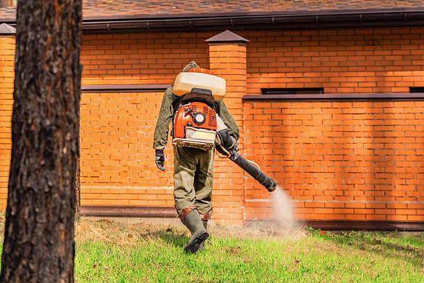 Trusted Termite Control service in Crystal Lake, CT - Nex Pest Control